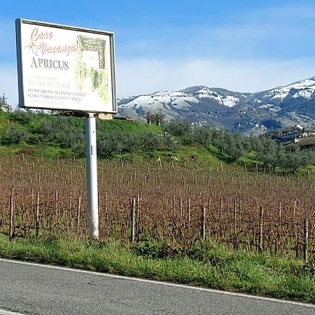 Villa La Loggetta di Apricus Olevano Romano Esterno foto