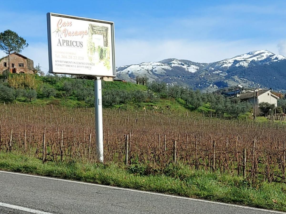 Villa La Loggetta di Apricus Olevano Romano Esterno foto