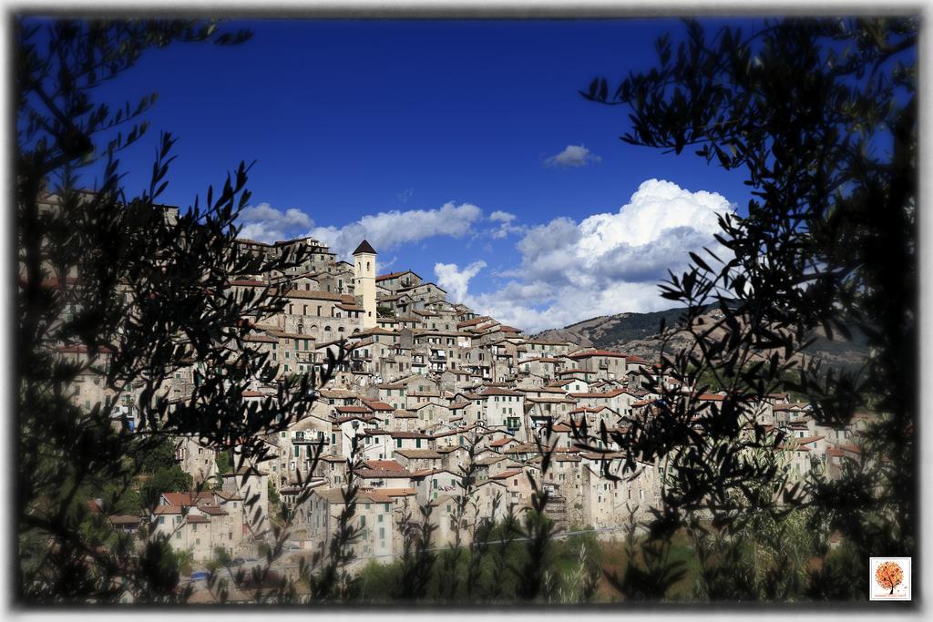 Villa La Loggetta di Apricus Olevano Romano Esterno foto